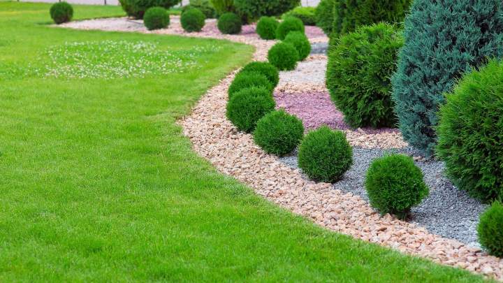 Aménagement et entretien jardin Saint-Marcel